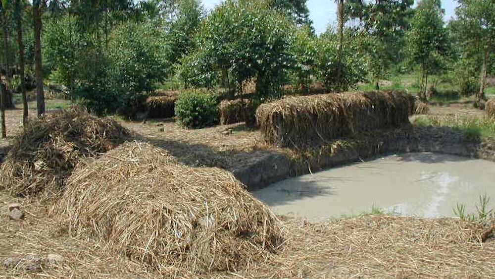 Ziegelproduktion, 2009