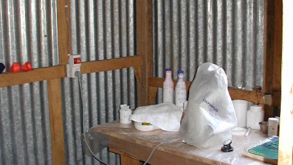 Entbindungsstation, 2003