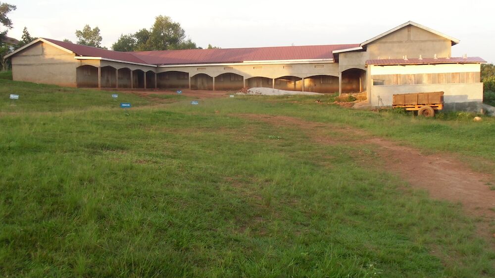 Ausbau, 2012