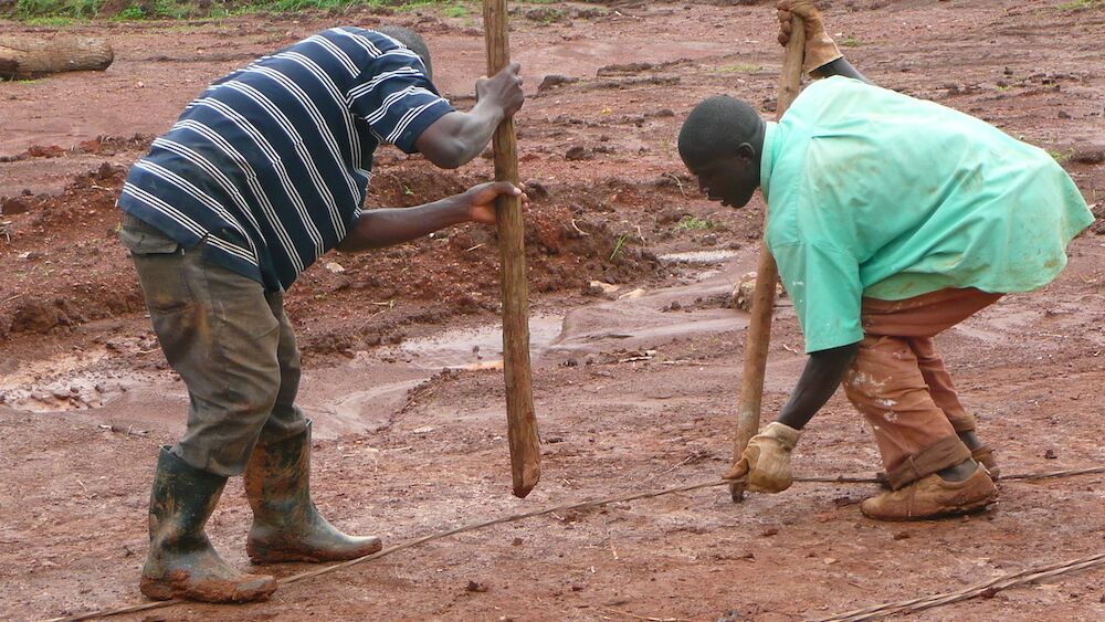 Fundamente, 2009